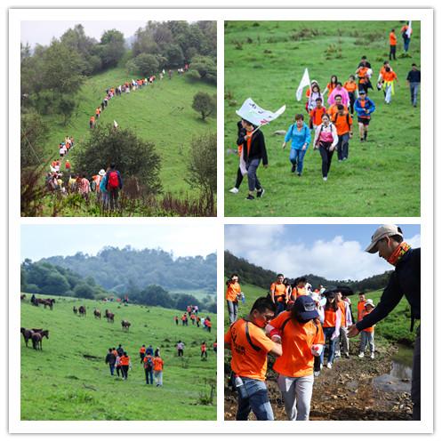 D:\我的文档\My Documents\007a.JPG