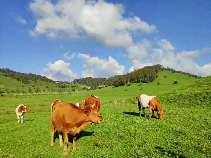 D:\我的文档\My Documents\005a.JPG