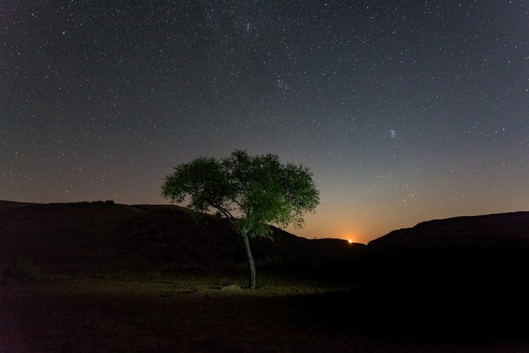 D:\我的文档\My Documents\013.jpg