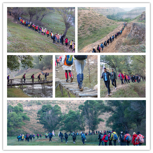 D:\我的文档\My Documents\019.jpg